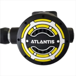 Octopus - Atlantis Icon O1
